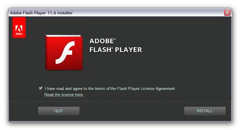 adobe flash player installed
